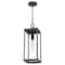 Quoizel Westover 1-Light Industrial Bronze Outdoor Hanging Lantern WVR1907IZ - alternate 3